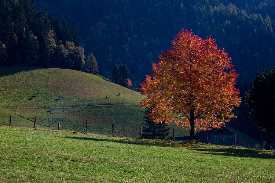 Austria Triebener Tauern