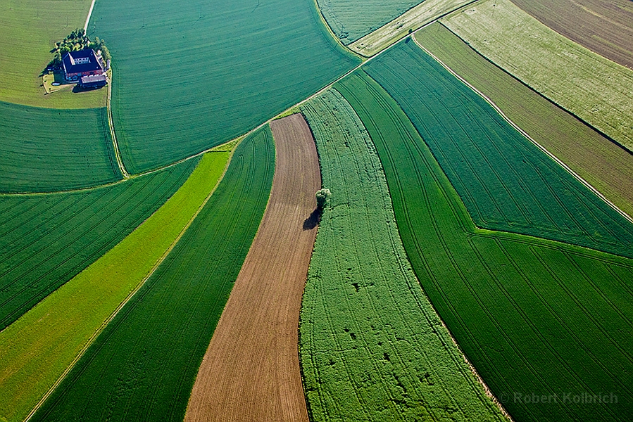 Linien
