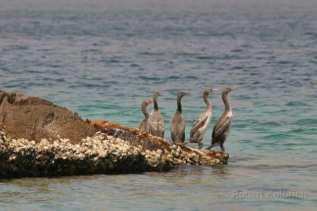 Khasab Musandam