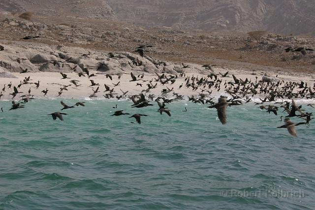 Musandam Oman