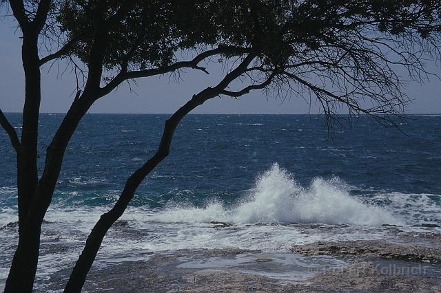 Plava Laguna