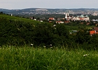 Klosterneuburg Niederösterreich-1.jpg
