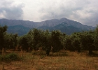 Mountine Hipserion Thassos.jpg