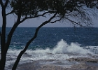 Plava Laguna.jpg