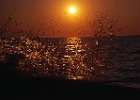Porec dal lungomare.jpg