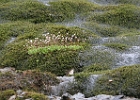 Riedingtal Salzburg.jpg